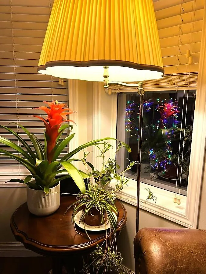 Accommodatie bij particulieren Lovely Comfy Home Private Bath In Central YYC